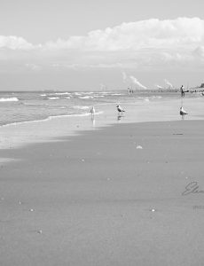 Das Meer und andere